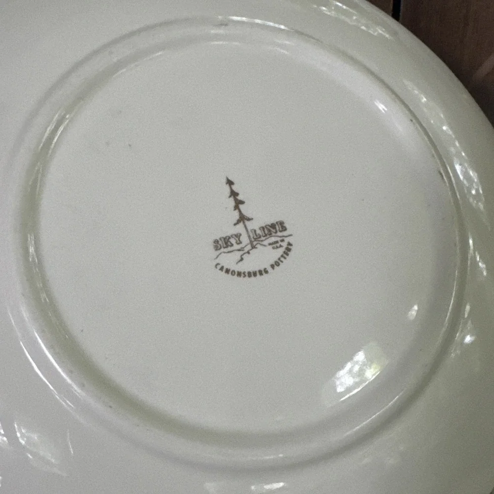 Vtg Canonsburg 9½